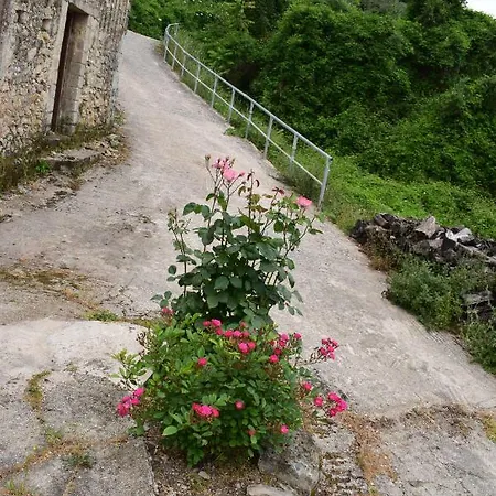Your Dreamy Traditional In Corfu 度假居